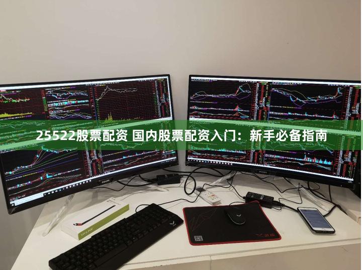 25522股票配资 国内股票配资入门：新手必备指南